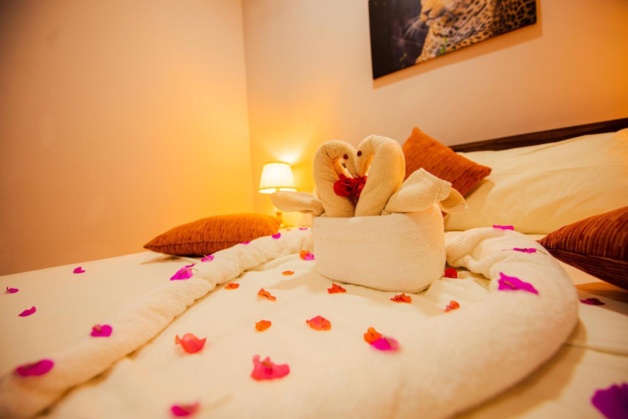 C B S Resort Udawalawe Dış mekan fotoğraf